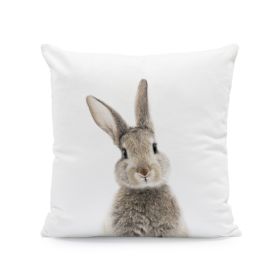 Easter Cartoon Rabbit Print Pillow Cover (Option: Pattern1-45x45cm)